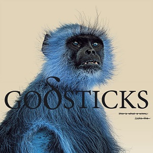 GODSTICKS - THIS IS WHAT A WINNER LOOKS LIKE